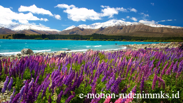 Lake Tekapo: Pesona Danau Biru Turquoise di Selandia Baru
